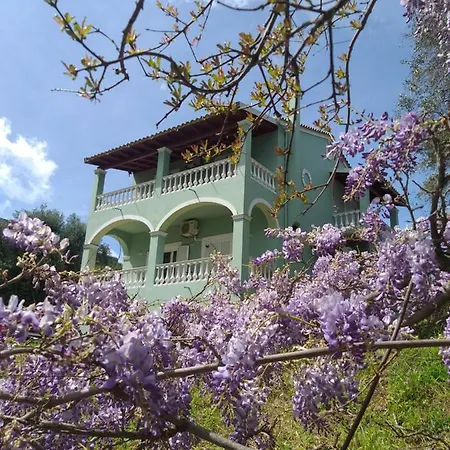 Green Hill House Agios Georgios Pagon Exterior photo