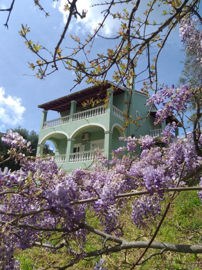 Hill House *
